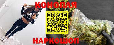 СК Волгодонск