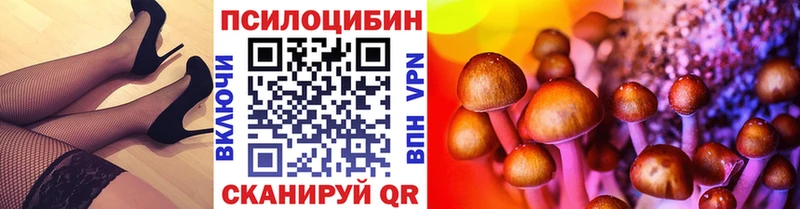 Галлюциногенные грибы Psilocybe  Ипатово 