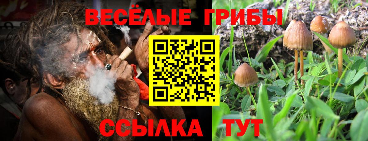 Псилоцибиновые грибы Magic Shrooms  Псилоцибиновые грибы Psilocybine cubensis  Ипатово  Вход с VPN 